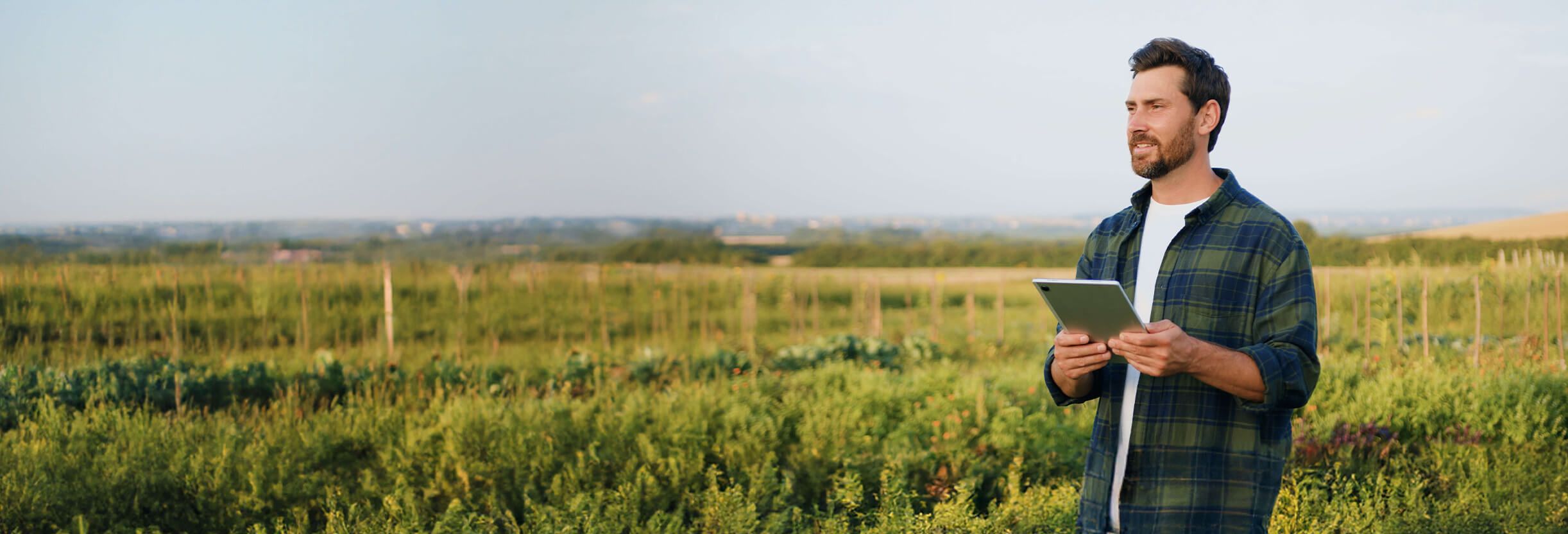 Man standing in a field with an device in hand