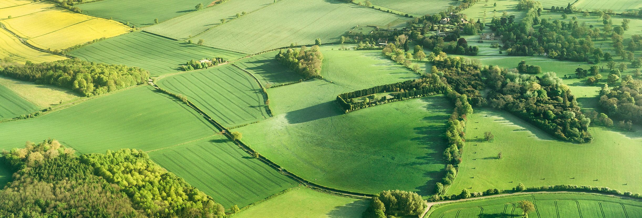 Picture of green fields